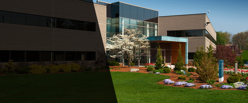 Willimantic Landscapers
