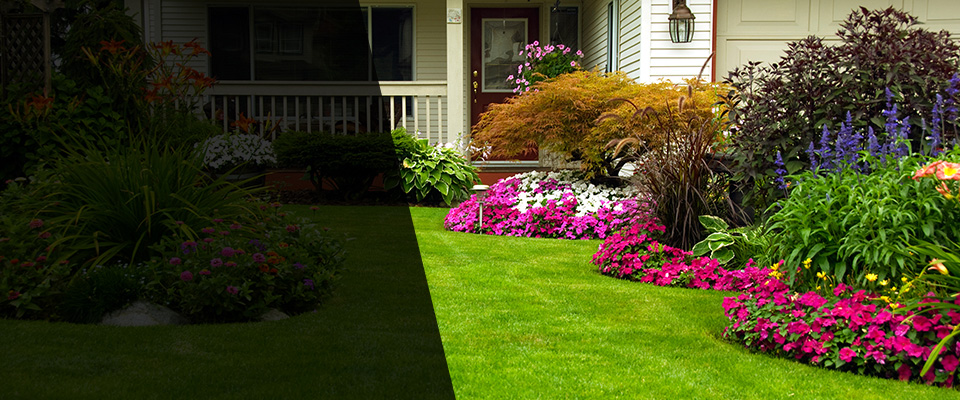 Willimantic Landscapers