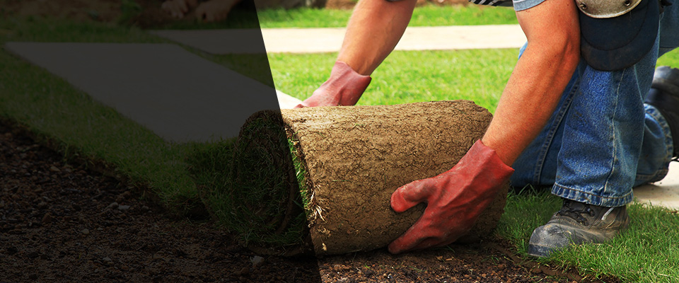 Willimantic Landscapers